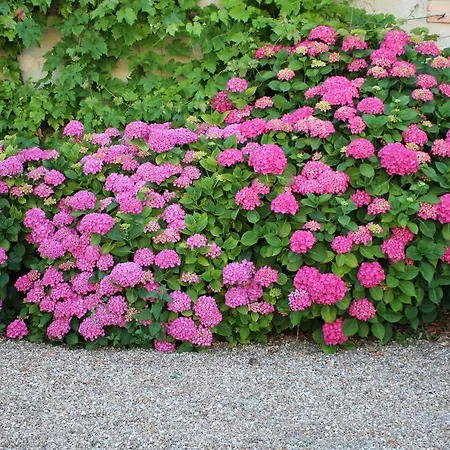 Manoir De Vaux Bed & Breakfast